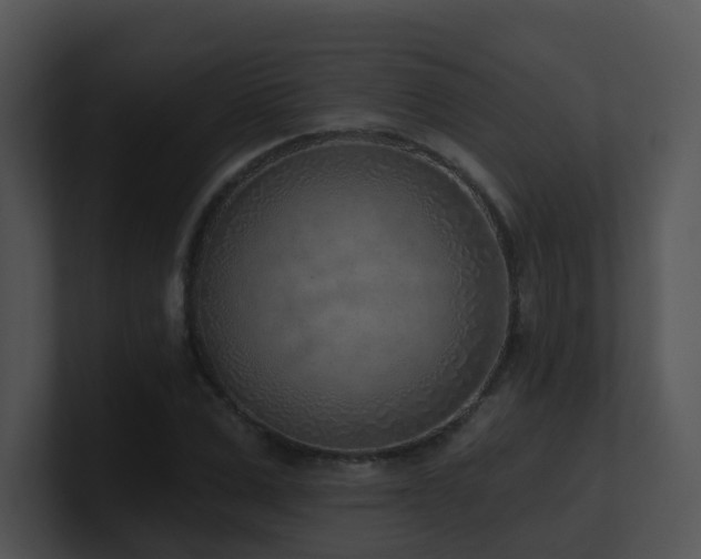 X0000100910975200806241309