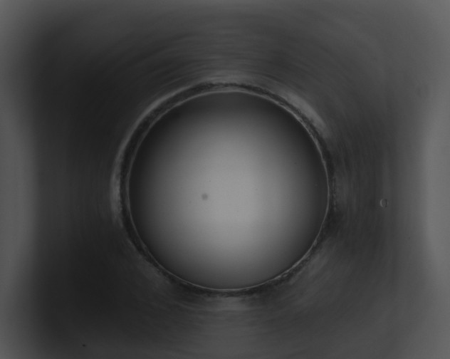 X0000100910976200806241309