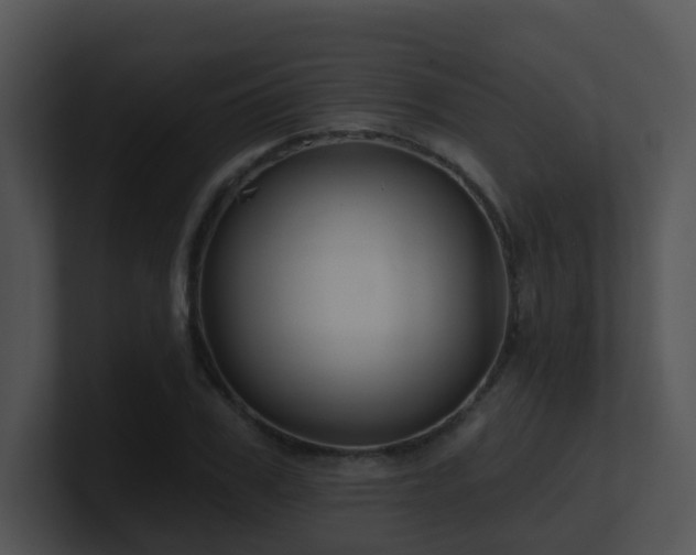 X0000100910979200806241309
