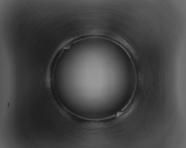 X0000100910981200806241309