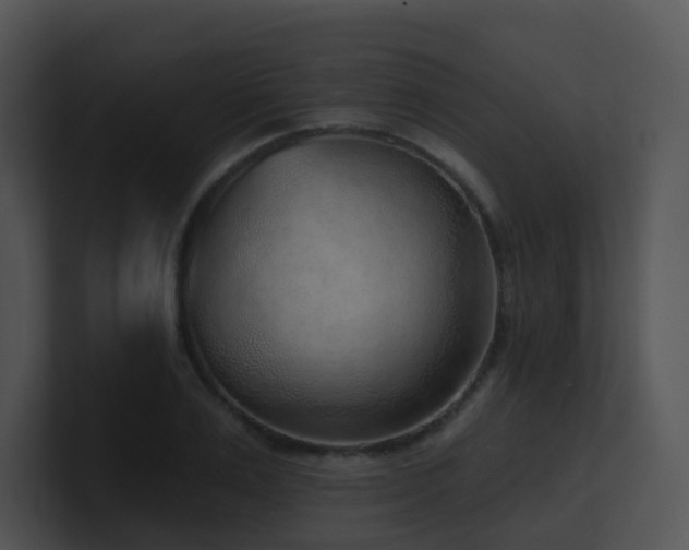 X0000100910983200806241309