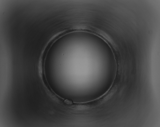 X0000100910984200806241309