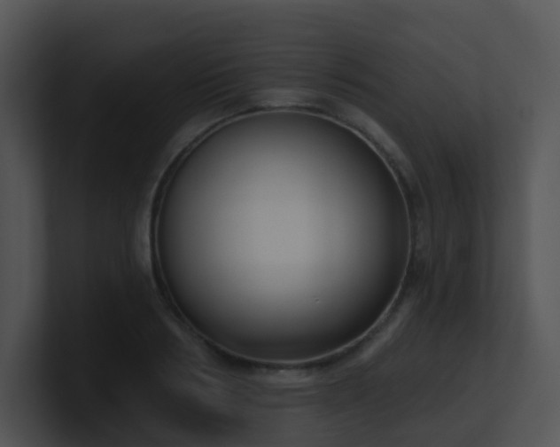 X0000100910986200806241309