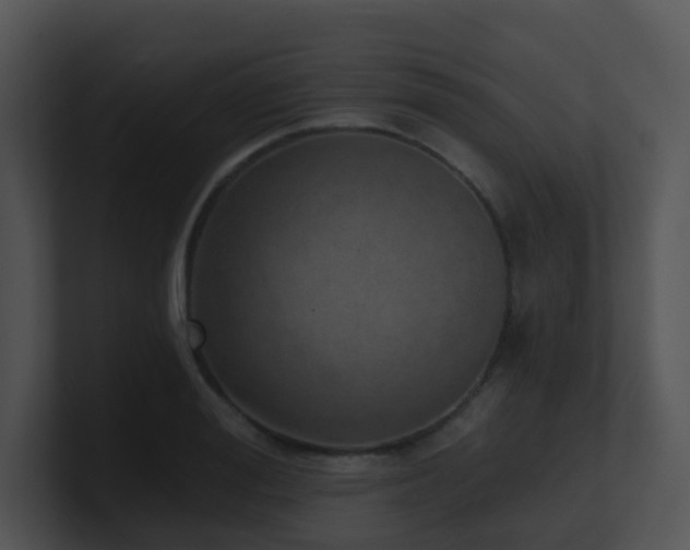 X0000100910988200806241309