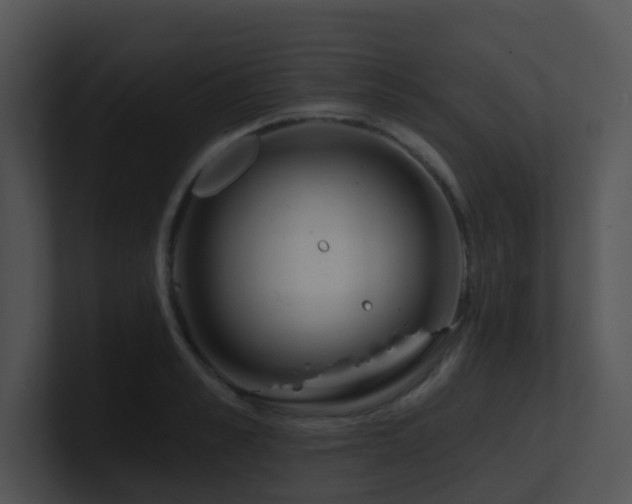 X0000100910989200806241309