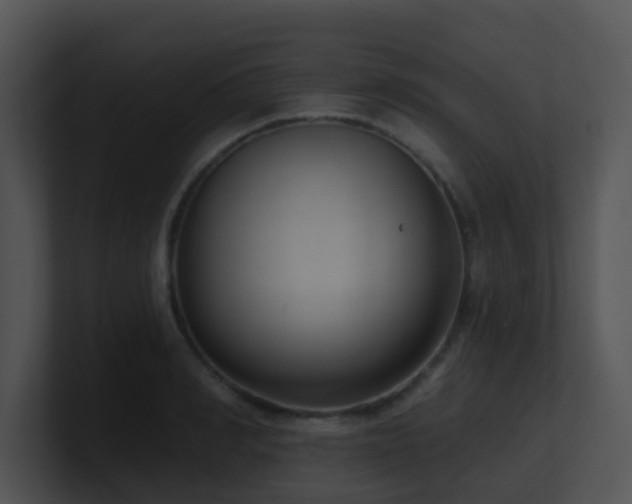 X0000100910990200806241309