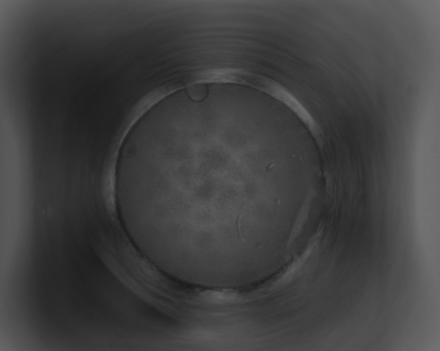 X0000100910994200806241309