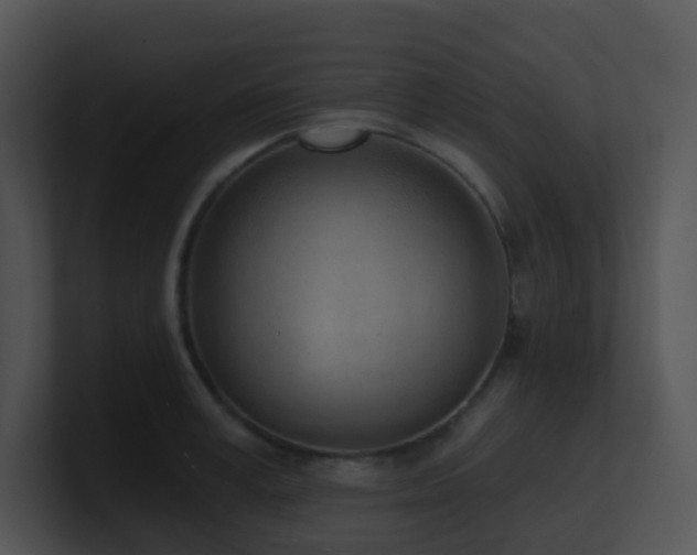 X0000100910995200806241309