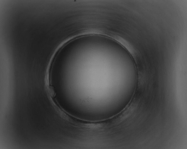 X0000100910996200806241309