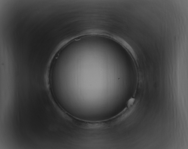 X0000100910997200806241309