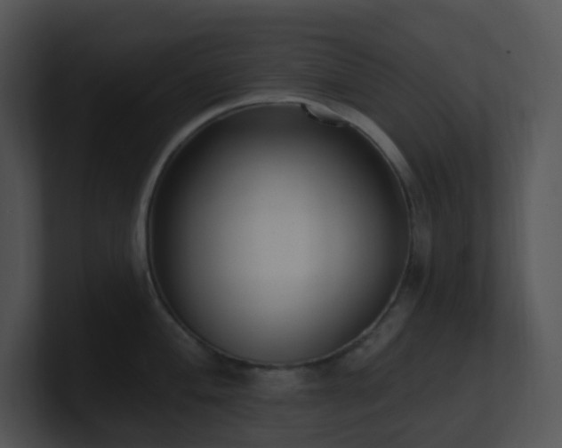 X0000100911004200806241309