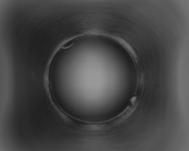 X0000100911005200806241309