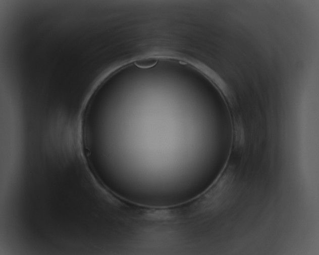 X0000100911006200806241309