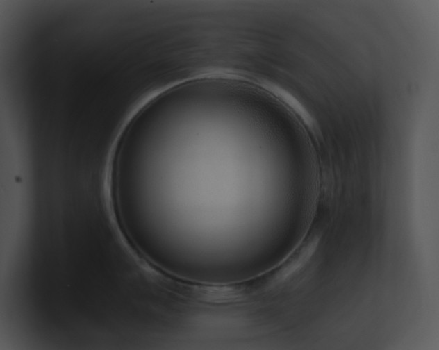 X0000100911007200806241309