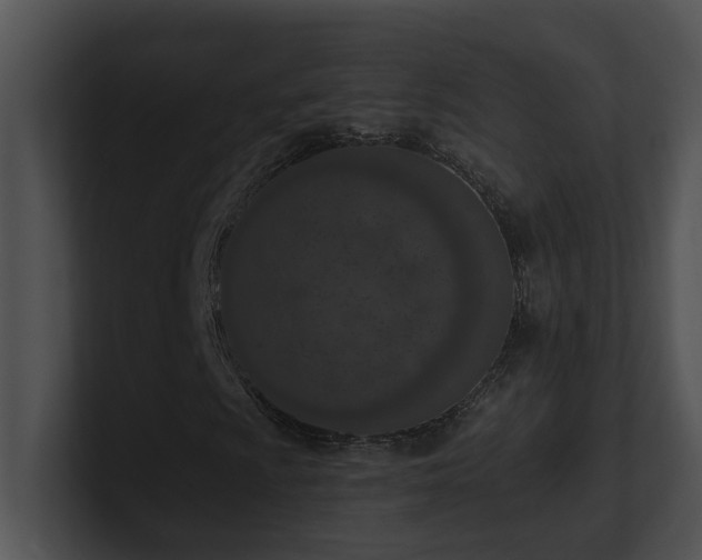 X0000100911009200806241308