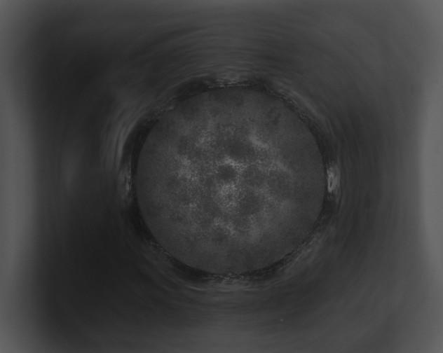 X0000100911011200806241308