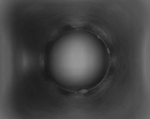 X0000100911012200806241308