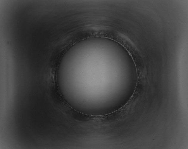 X0000100911013200806241308