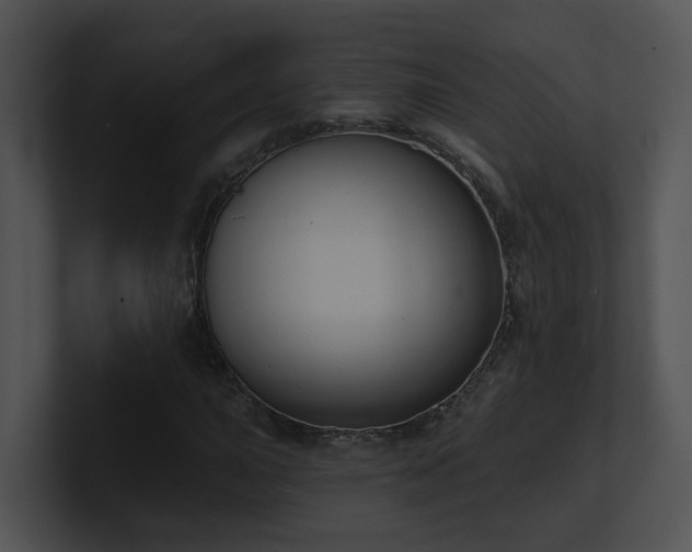 X0000100911015200806241308