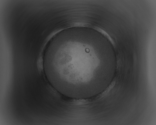 X0000100911019200806241308