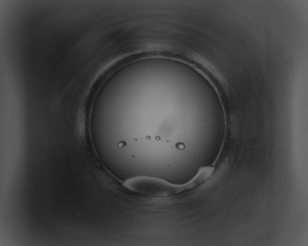 X0000100911021200806241308