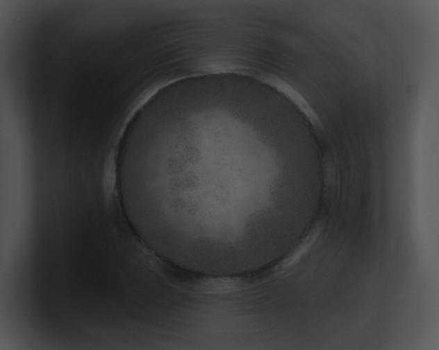 X0000100911023200806241308