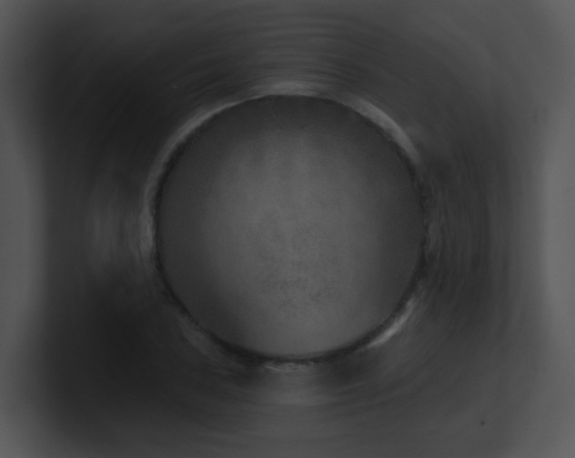 X0000100911027200806241309