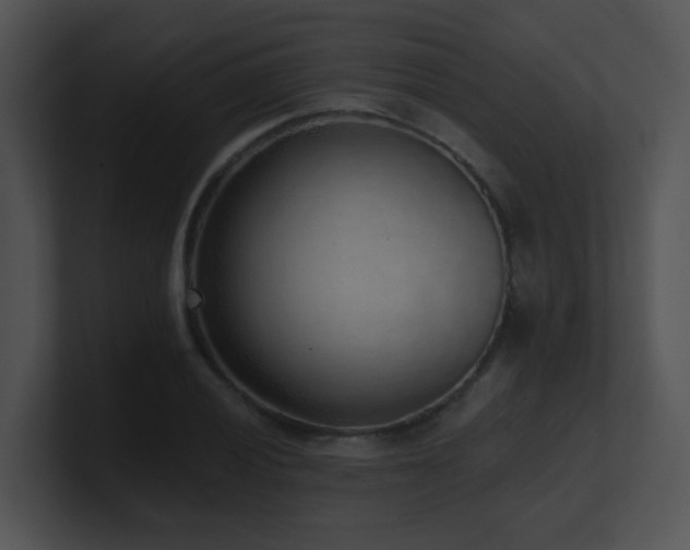 X0000100911028200806241309