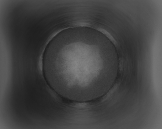 X0000100911031200806241309