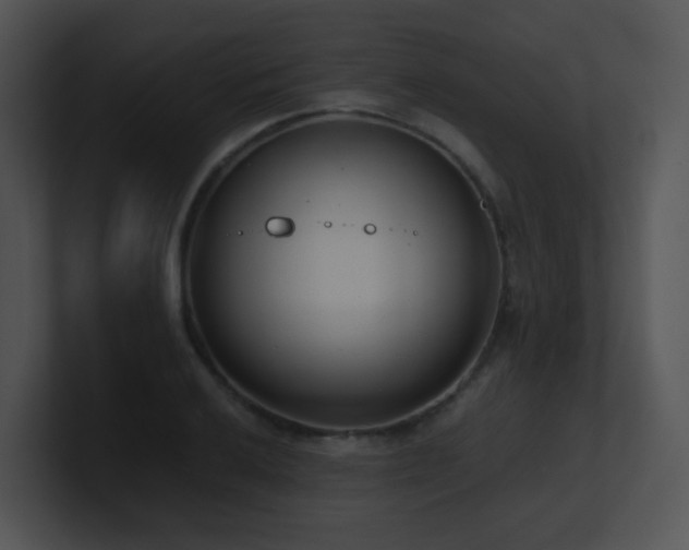 X0000100911032200806241309