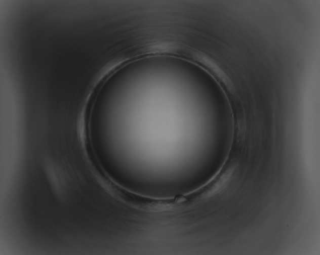 X0000100911034200806241309