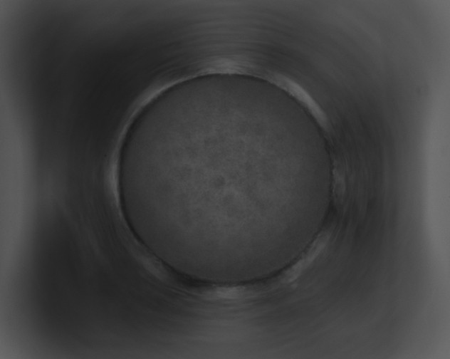 X0000100911035200806241309