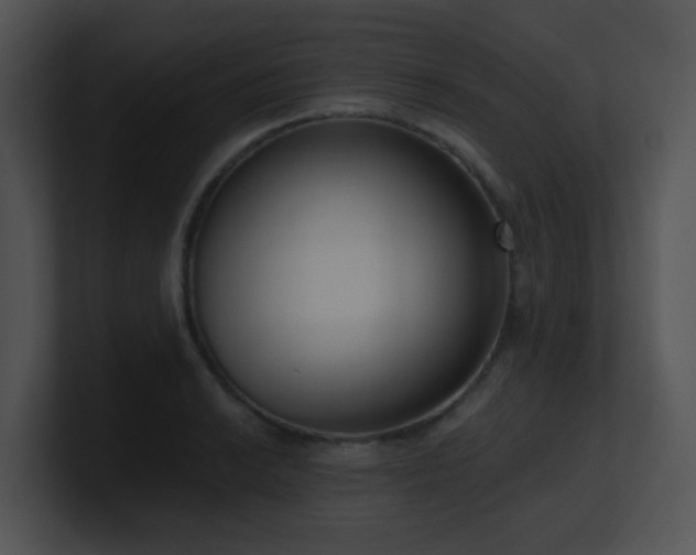 X0000100911038200806241309