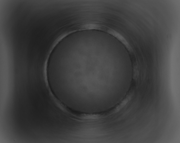 X0000100911039200806241309