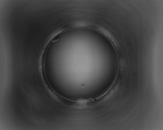 X0000100911042200806241309