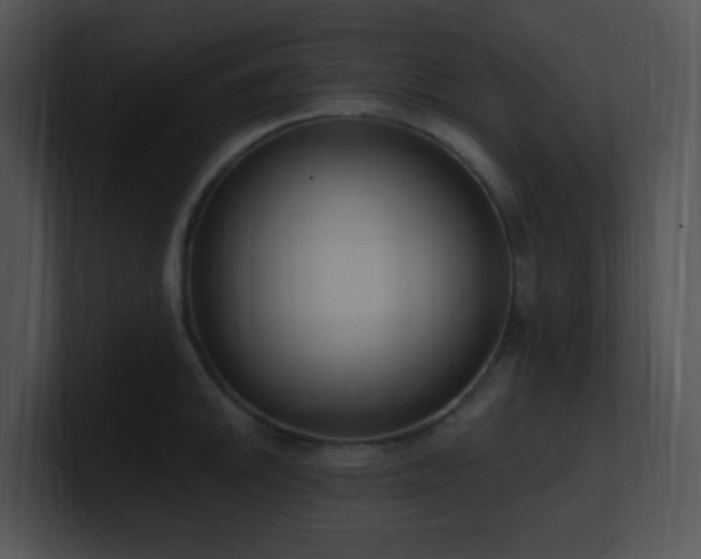 X0000100911046200806241309