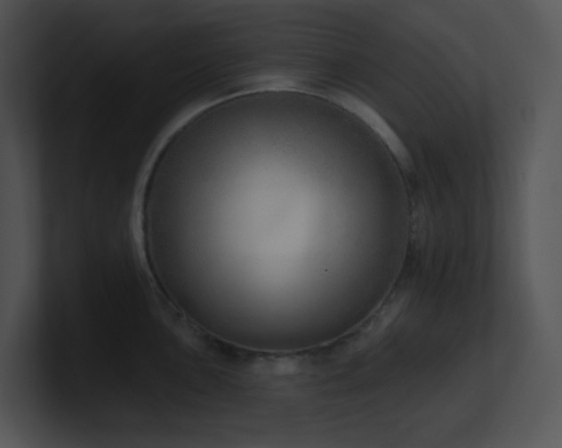 X0000100911051200806241309