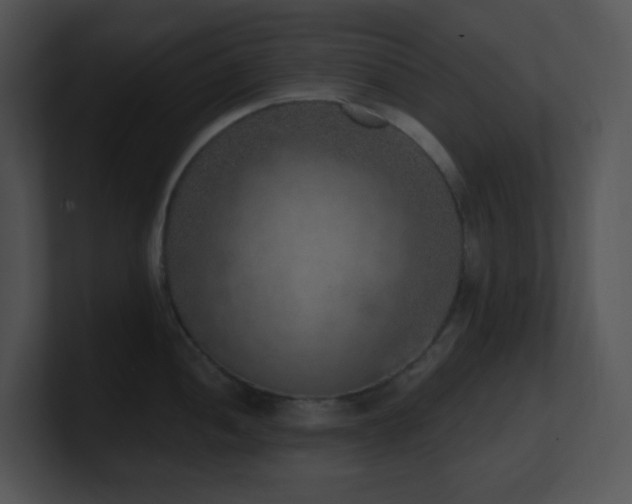 X0000100911052200806241309