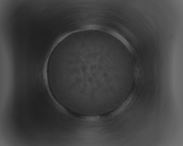 X0000100911055200806241309