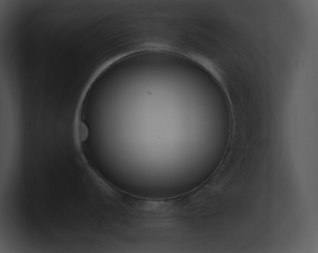 X0000100911056200806241309