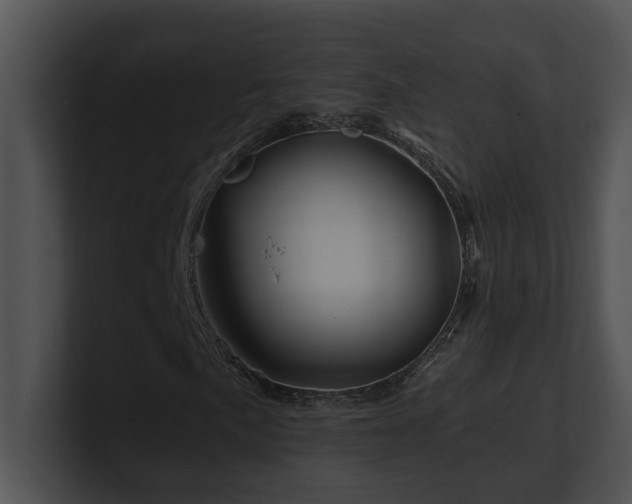 X0000100911057200806241308
