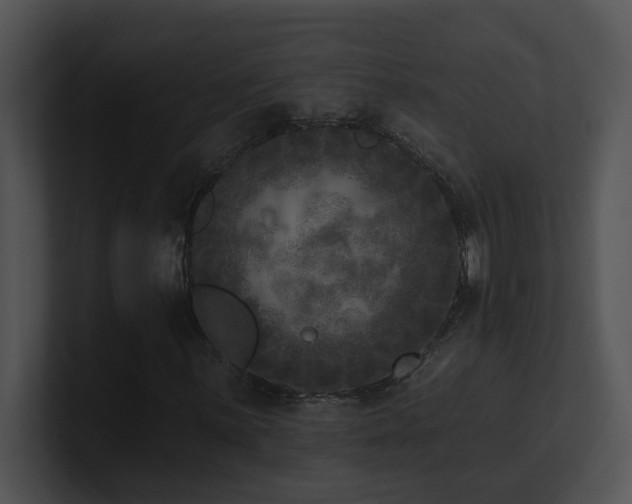 X0000100911059200806241308