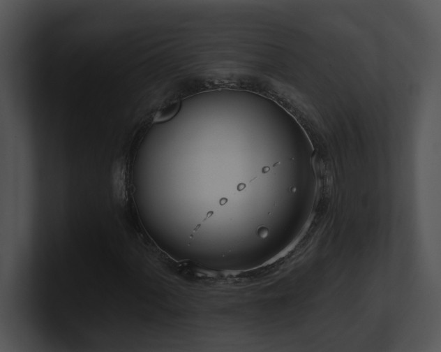 X0000100911060200806241308