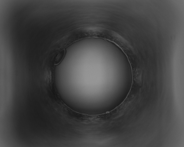 X0000100911061200806241308