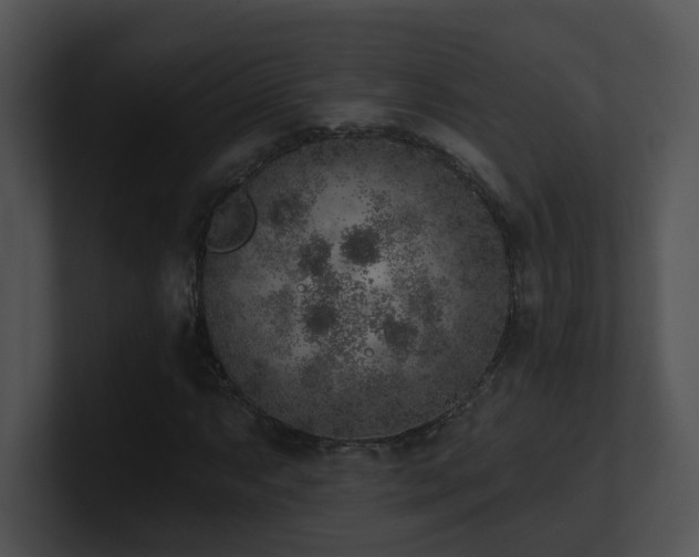 X0000100911063200806241308