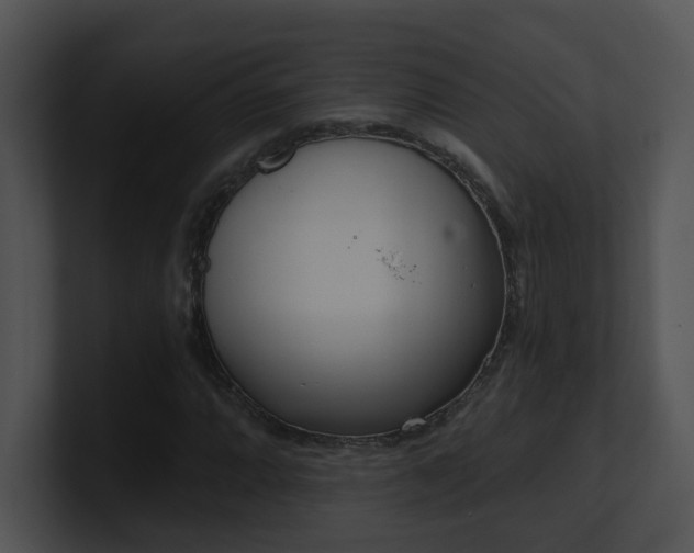 X0000100911064200806241308