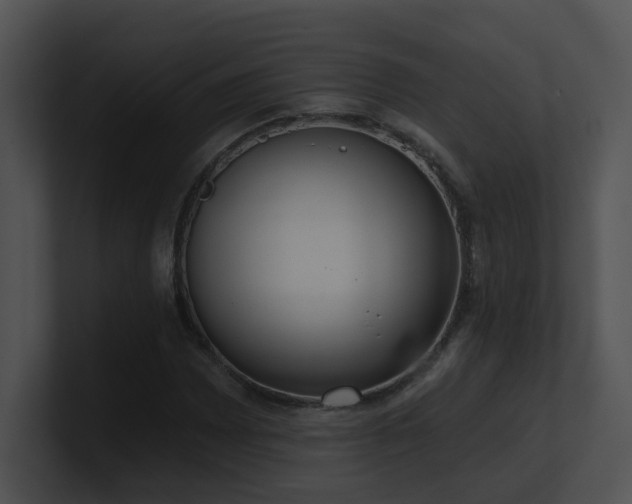 X0000100911065200806241308