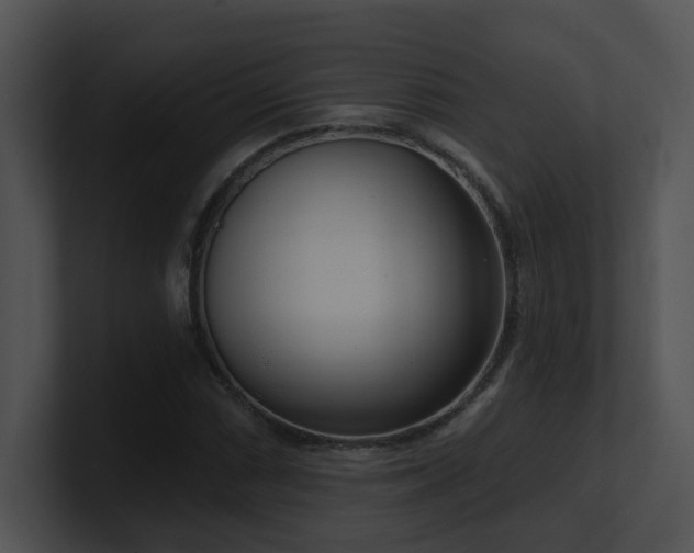 X0000100911066200806241308