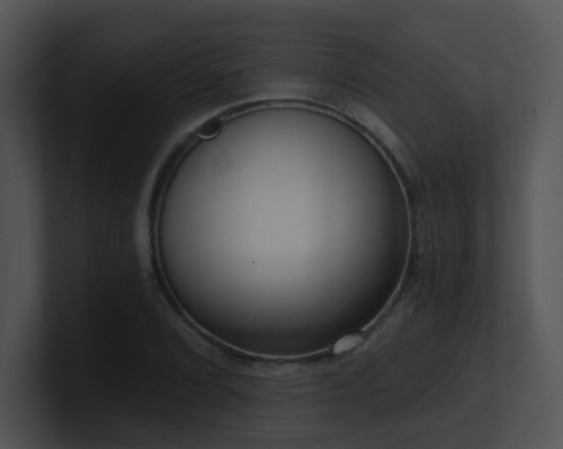 X0000100911072200806241308