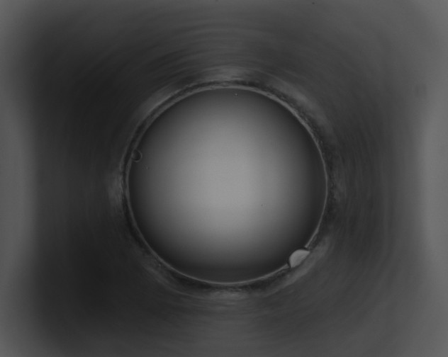 X0000100911073200806241308